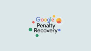 Recovery Process Overview